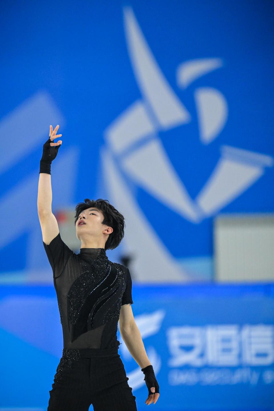 关于钟情舞动，男子花样滑冰选手包揽奖项的信息