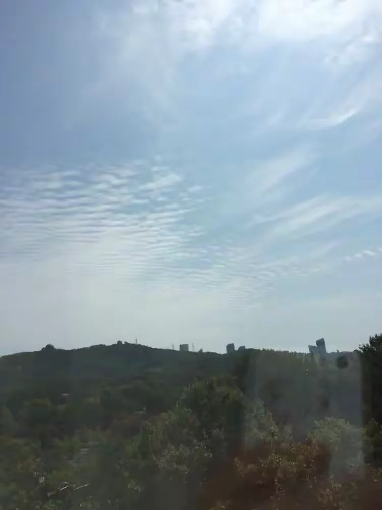 青岛黄海险胜对手，稳固中游位置