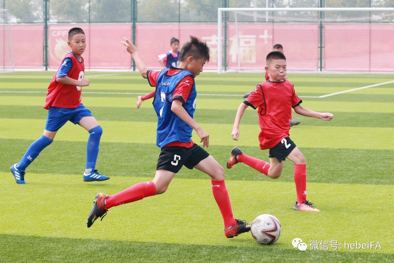 世俱杯冠军-足坛青训扶持政策推行，培养未来之星