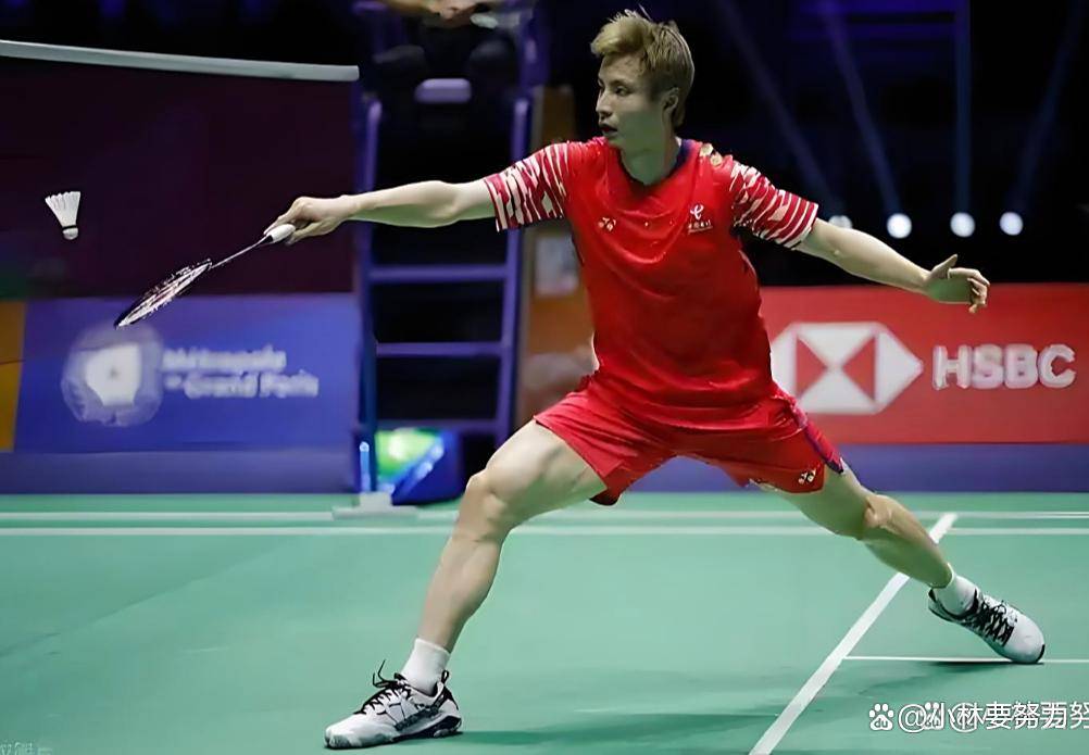 中国羽毛球队绝地反击日本羽毛球队，陶菲克送出助攻的简单介绍